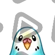 Budgie - Channel Point Badge