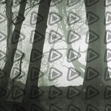 DAYZ Infected - Twitch Channel Banner