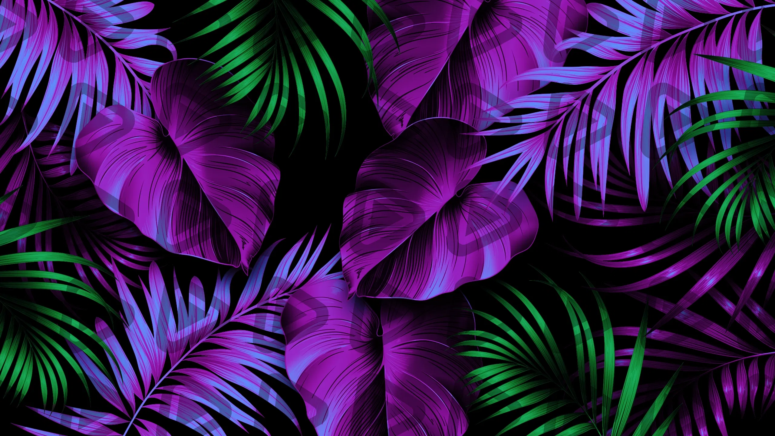 Tropical - YouTube Channel Banner