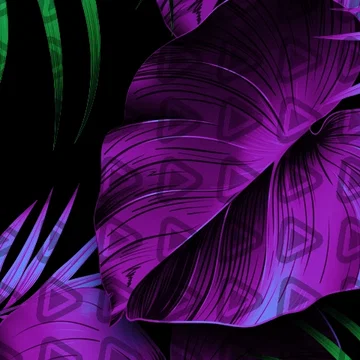 Tropical - Twitch Channel Banner