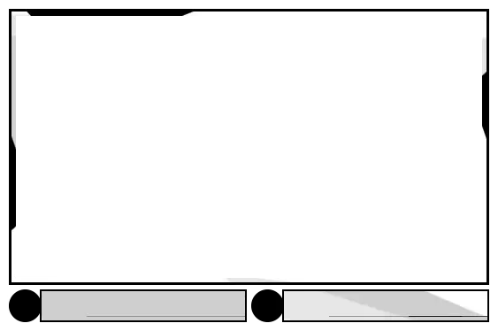 BlackWhite - Webcam 2 Panels