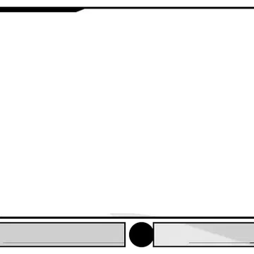 BlackWhite - Webcam 2 Panels