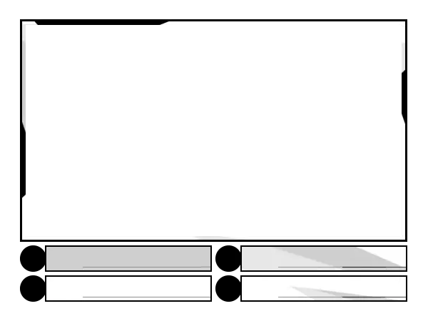 BlackWhite - Webcam 4 Panels