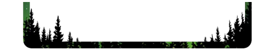 Borealis - Greenscreen Blank