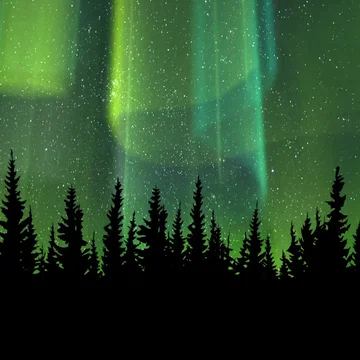 Borealis - Intermission Background
