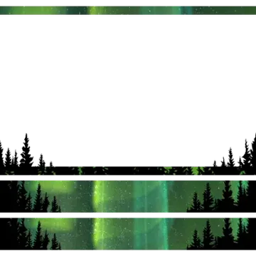 Borealis - Webcam 4 Panels