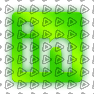 Borealis - Social Icon Linkedin