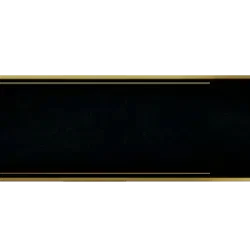 Champion - Talkingbanner Infopanel