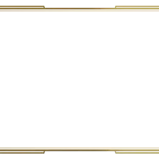 Champion - Webcam Blank
