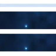 Chief - Greenscreen 4 Panels