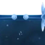Fantasy - Overlay Footer