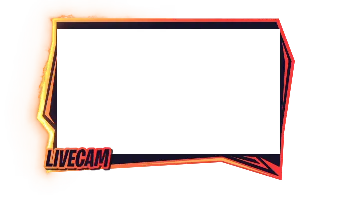 Fayzer - Webcam Blank