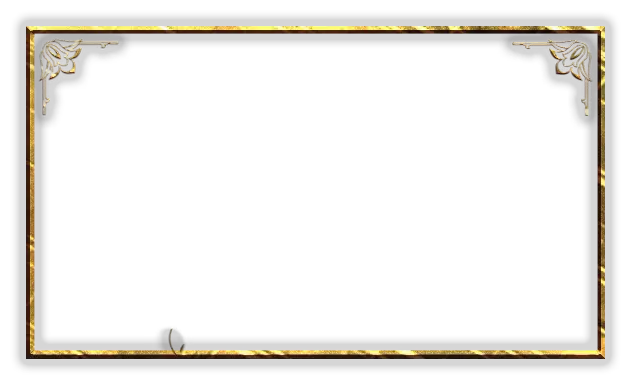 King - Webcam Blank