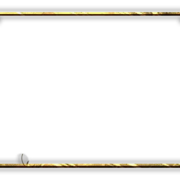 King - Webcam Blank