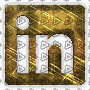 King - Social Icon Linkedin