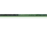 Military - Greenscreen Blank