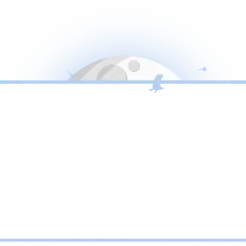 Mystic - Webcam Blank