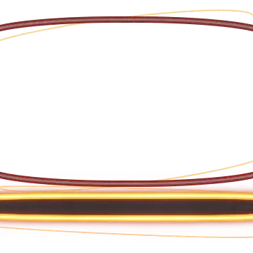 Neon Orange - Webcam 2 Panels