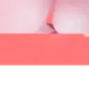 Sakura - Overlay Header