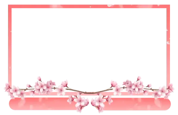 Sakura - Webcam 2 Panels