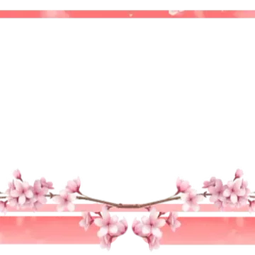 Sakura - Webcam 2 Panels
