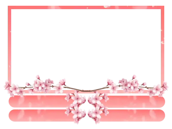 Sakura - Webcam 4 Panels