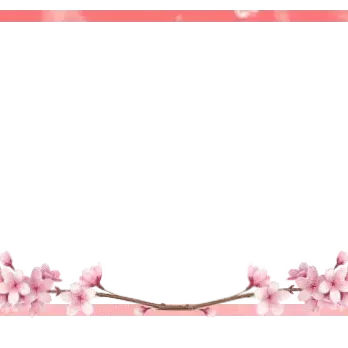 Sakura - Webcam Blank
