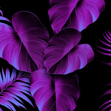 Tropical - Intermission Background