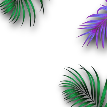 Tropical - Special