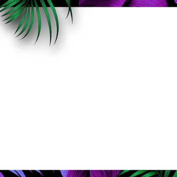 Tropical - Overlay Frame
