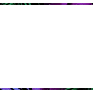 Tropical - Webcam Blank