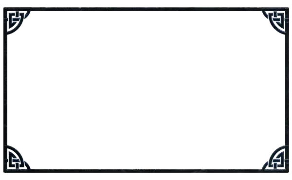 Viking - Webcam Blank