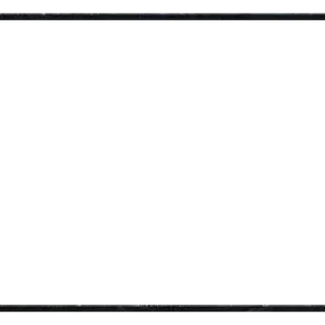 Viking - Webcam Blank