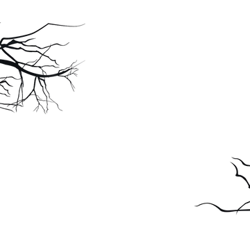 Ghost - Special