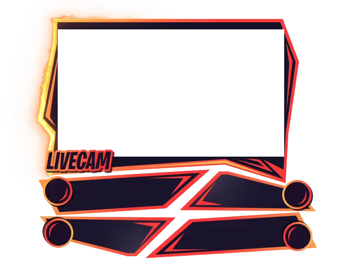 Fayzer - Webcam 4 Panels