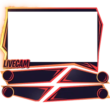 Fayzer - Webcam 4 Panels