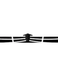 Boxing - Greenscreen Blank