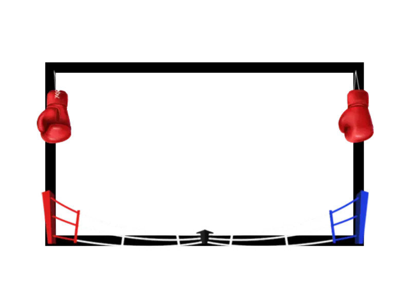 Boxing - Webcam Blank