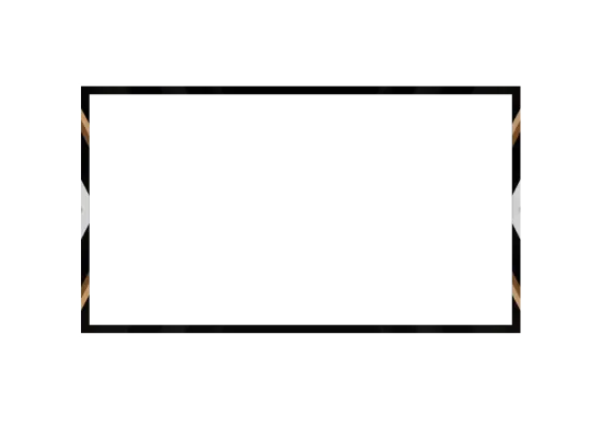 Bronze - Webcam Blank