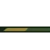 Camo - Greenscreen Blank