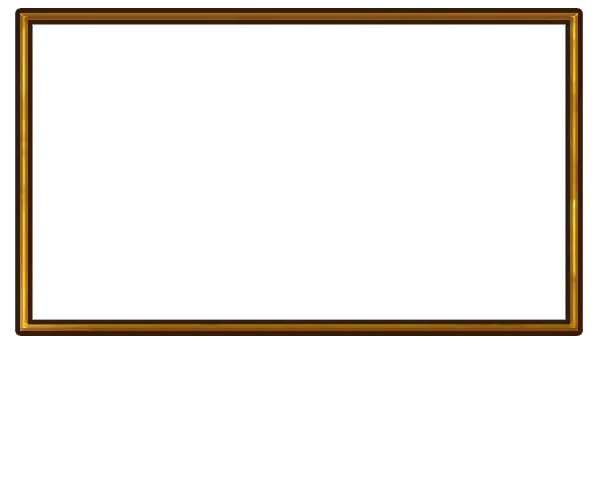 Cardgame - Webcam Blank