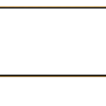Carry - Webcam Blank