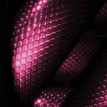 Cobra - Transition