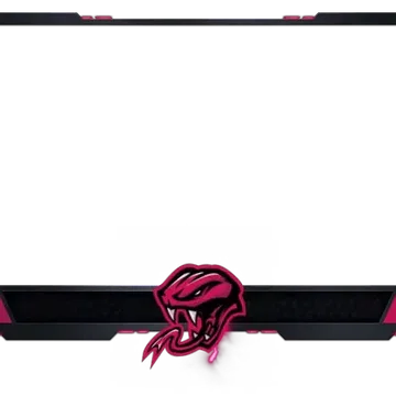 Cobra - Webcam 4 Panels