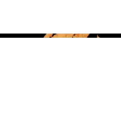 CS - Greenscreen Blank