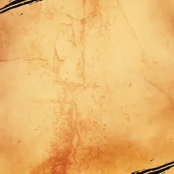 CS - Transition