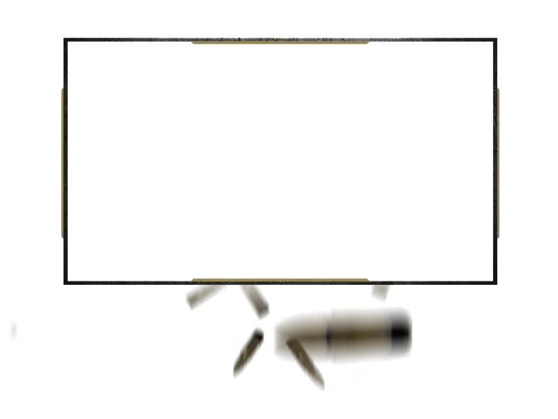 DutyZone - Webcam Blank