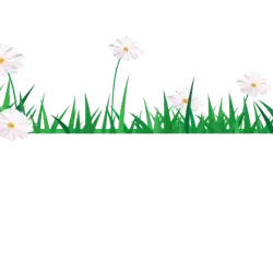 Easter - Greenscreen Blank