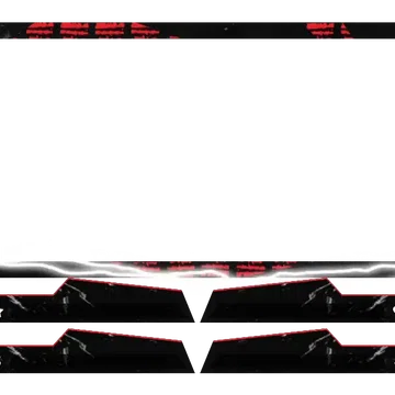 BF - Webcam 4 Panels