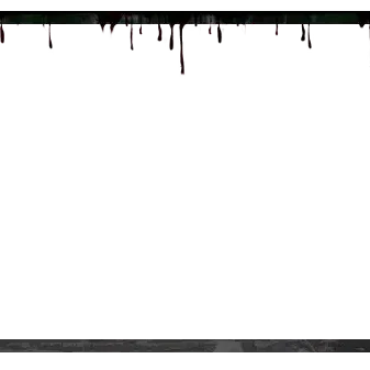 Endure - Webcam Blank